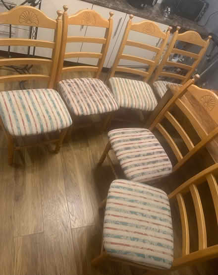 Photo of free chairs (Queenborough) #2