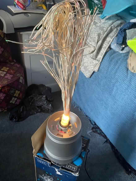Photo of free Next 2ft white fibre optic twig tree (Kimberley NG16) #1
