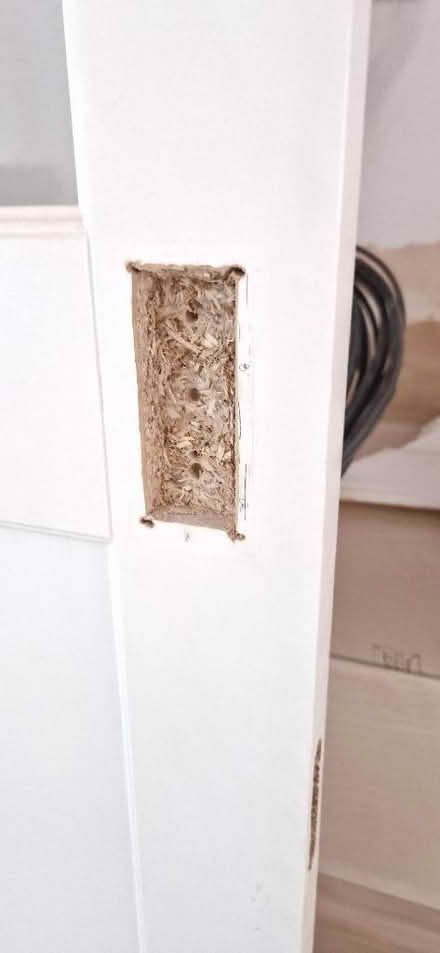 Photo of free 5 Internal Doors (Mill Hill, Copthall NW7) #3