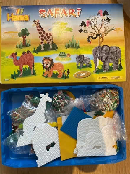 Photo of free HAMA safari beads (North Road) #1