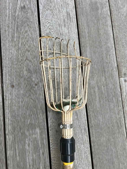 Photo of free fruit picker pole with basket (Midtown Palo Alto) #1