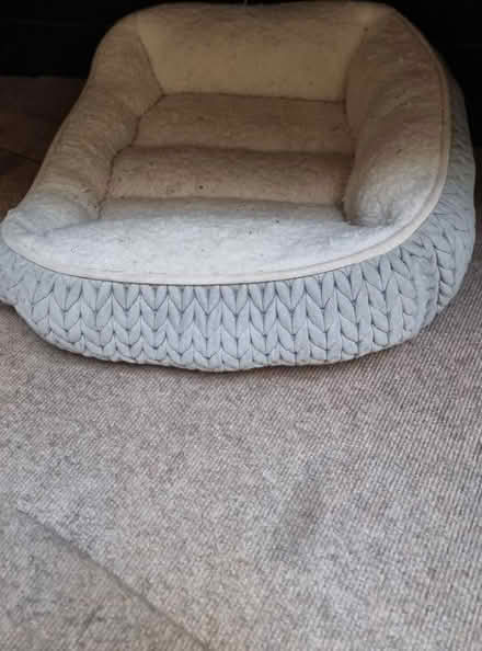 Photo of free Charlie range dog bed (South hampstead NW8) #1