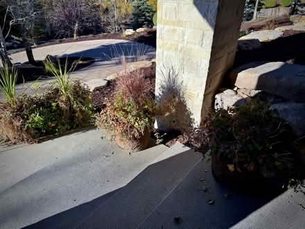 Photo of free Planters (Park City) #1