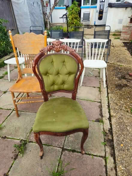 Photo of free Chairs (N17 6AE) #2