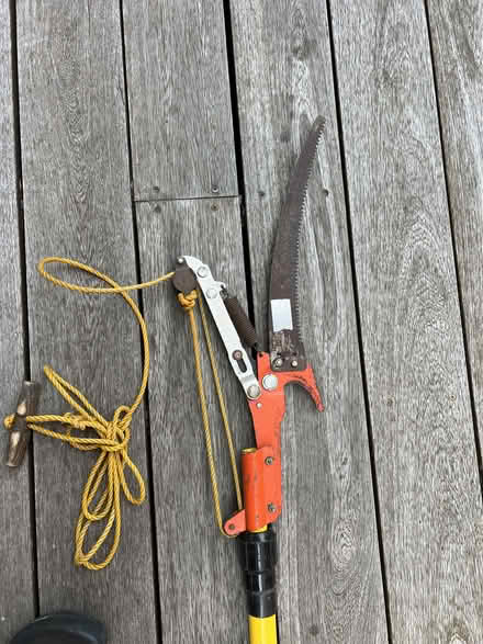 Photo of free tree saw with pole (Midtown Palo Alto) #1