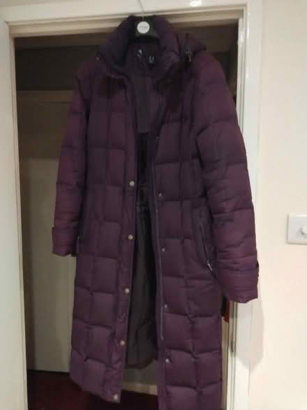 Photo of free Purple feather down coat (Frome BA11) #1