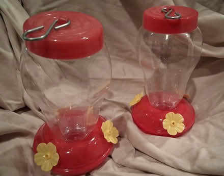 Photo of free hummingbird feeders (Magnolia 98199) #1