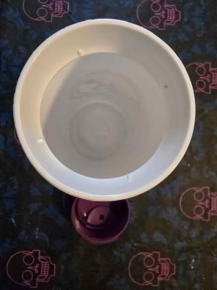 Photo of free Plastic Water Bottle (West 7th) #3