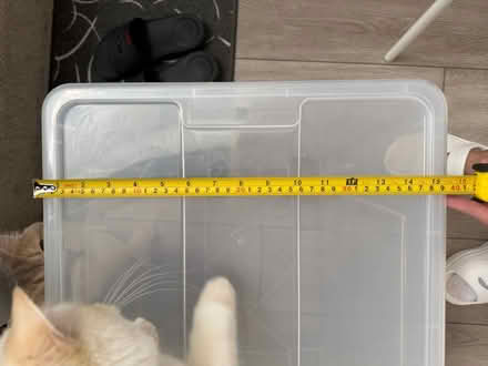 Photo of free Transparent storage box (CB1) #4