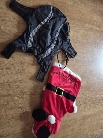 Photo of free Dog jackets - small (Dunfermline KY11) #1