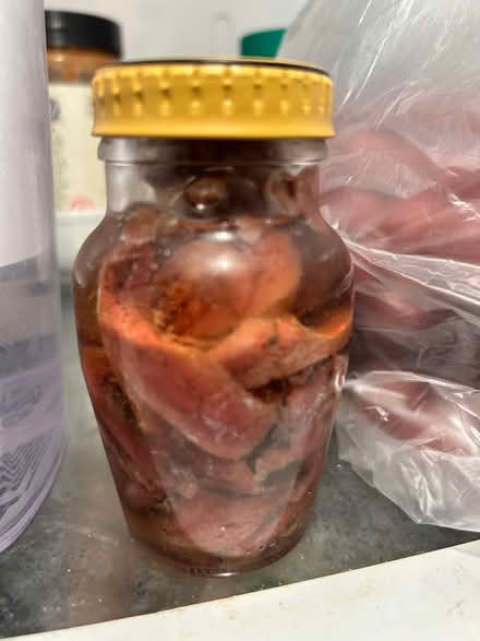 Photo of free Jar of anchovies (L5L 5P5) #1