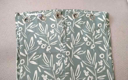 Photo of free Pair of Dunelm eyelet sage green curtains (Anchorsholme FY5) #3