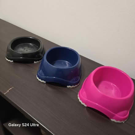 Photo of free Kitten bowls (Greenwich Peninsula SE10) #2