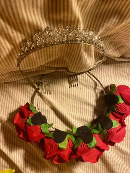 Photo of free Tiara and Rose Headband (CT11) #2