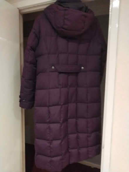 Photo of free Purple feather down coat (Frome BA11) #2