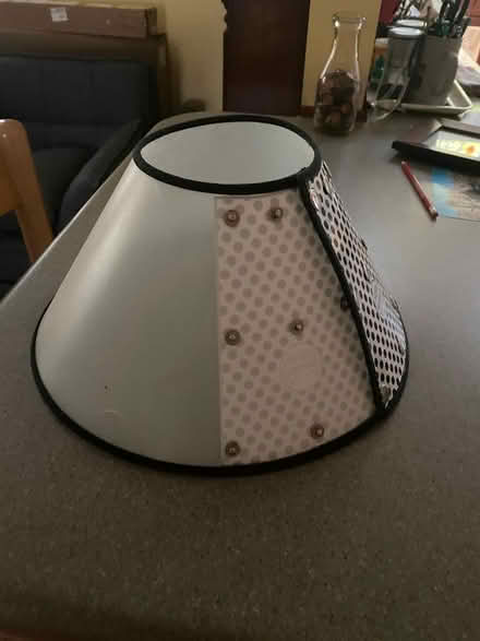 Photo of free Dog's Collar (East side of Columbia) #2