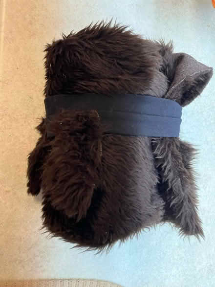 Photo of free Home-made cat costume (Ickford HP18) #1