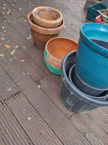 Photo of free Plant pots (Old Town TN40) #1