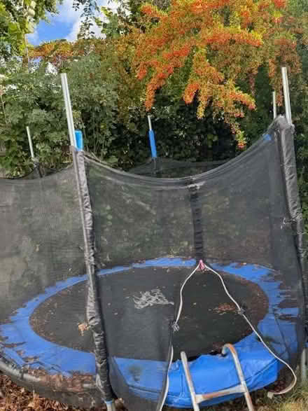 Photo of free Trampoline - 8Ft (Caversham Park RG4) #2