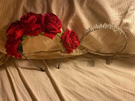 Photo of free Tiara and Rose Headband (CT11) #1
