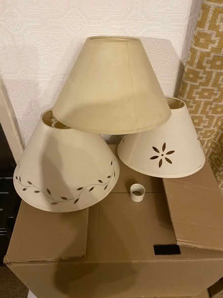 Photo of free Small Lamp Shades (CT11) #1