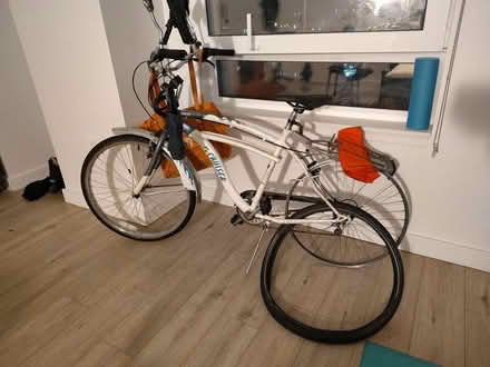 Photo of Classic bicycle (brooklyn, ny) #1