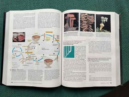 Photo of free Biology textbook 1st year degree (St. Paul‘s Square, York) #2