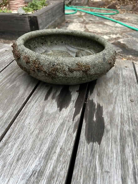 Photo of free Bird Bath with Frog (Midtown Palo Alto) #2