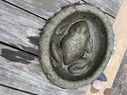 Photo of free Bird Bath with Frog (Midtown Palo Alto) #1