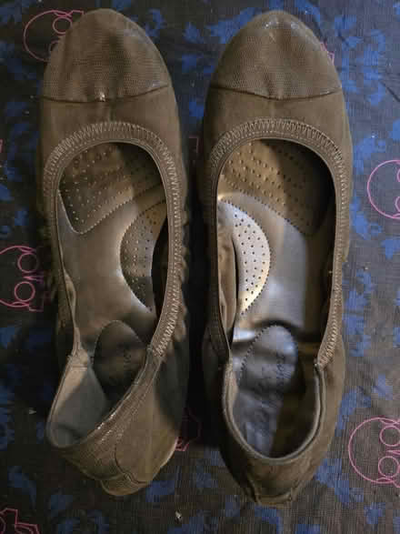 Photo of free Olive Green Ballet Flats (West 7th) #1