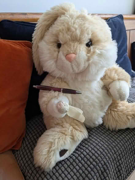 Photo of free Cuddly rabbit (Hove Green BN3) #3