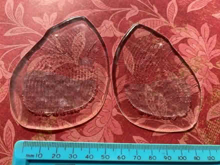 Photo of free Shoe inserts (Haywards Heath RH16) #1