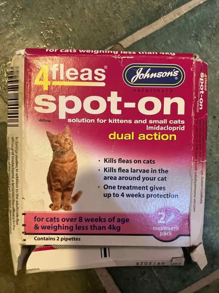 Photo of free kittens and small cats flea spot on x 2 (Slad GL6) #1