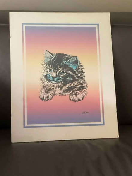 Photo of free Large Framed Print…Cute kitty (Alta Vista area) #1