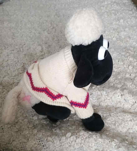 Photo of free Shaun the Sheep (Camberwell SE5) #3
