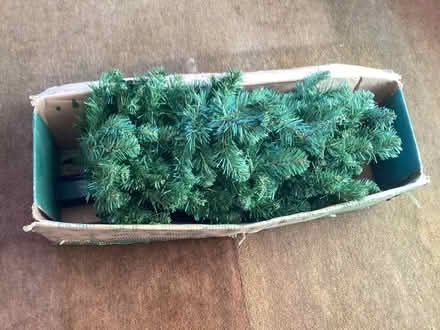Photo of free Christmas tree (Newhaven EH6) #1