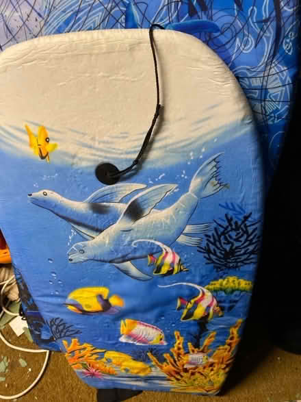 Photo of free Sea life boogie board (AB10) #1