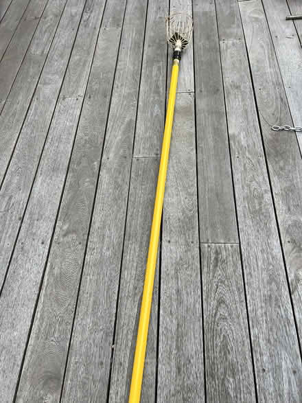Photo of free fruit picker pole with basket (Midtown Palo Alto) #2