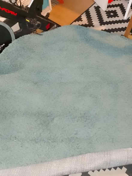 Photo of free Large circular rug (Barton OX3) #1