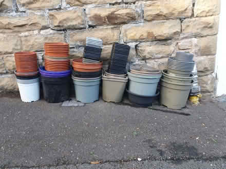 Photo of free Plastic plant pots (Broomhall S10) #1