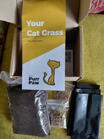 Photo of free Grow your own cat grass (Stroud GL5) #1