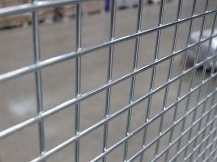 Photo of Chicken wire/mesh/fencing/frames (Norfolk Park S2) #1