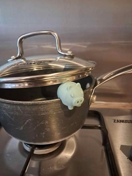 Photo of free Saucepan steam realising things (Westhampnett) #1