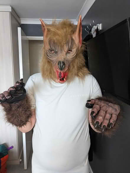 Photo of free Halloween accessories werewolf (Maidstone ME15) #1