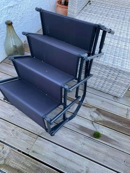 Photo of free Dog car ramp (Torquay TQ2) #1