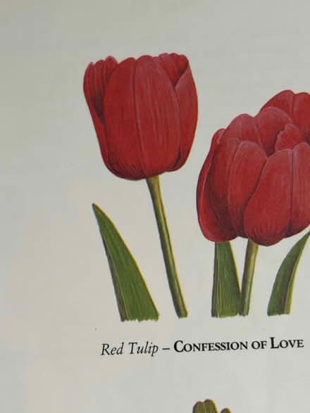 Photo of free The Floral Birthday Book (Westbury Wilts BA13) #2