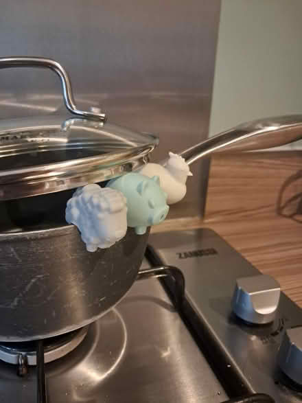 Photo of free Saucepan steam realising things (Westhampnett) #2