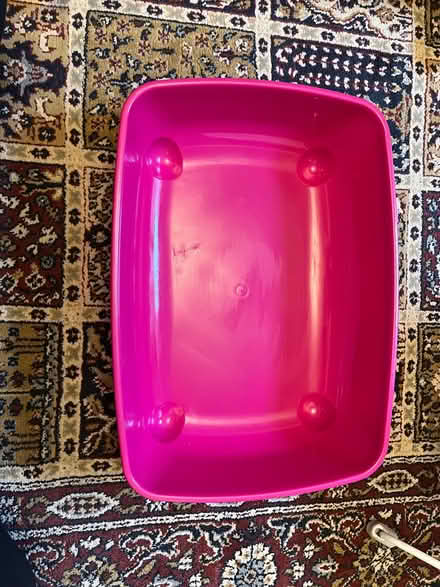 Photo of free Kitten litter tray (East Twerton) #1