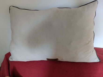Photo of free Dog beds (Lymm WA13) #1