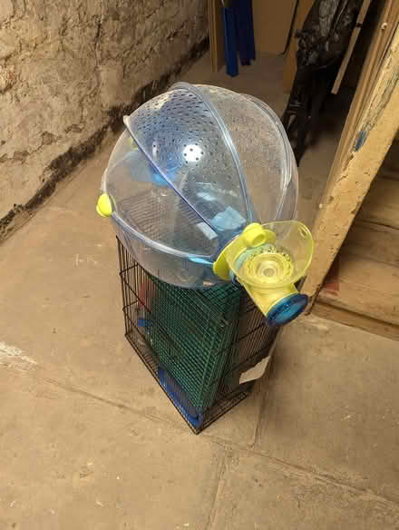 Photo of free Ovo hamster cage (Spitalfields E1) #2